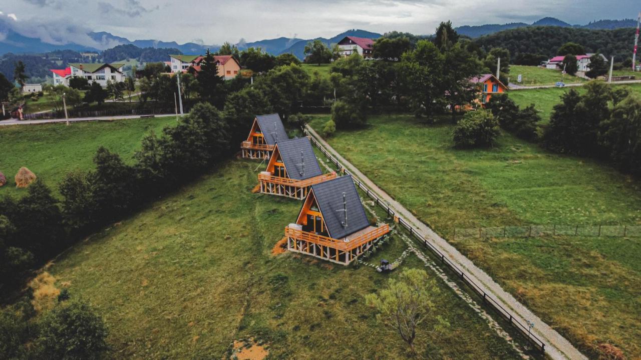 Cabana 365 Braşov Dış mekan fotoğraf