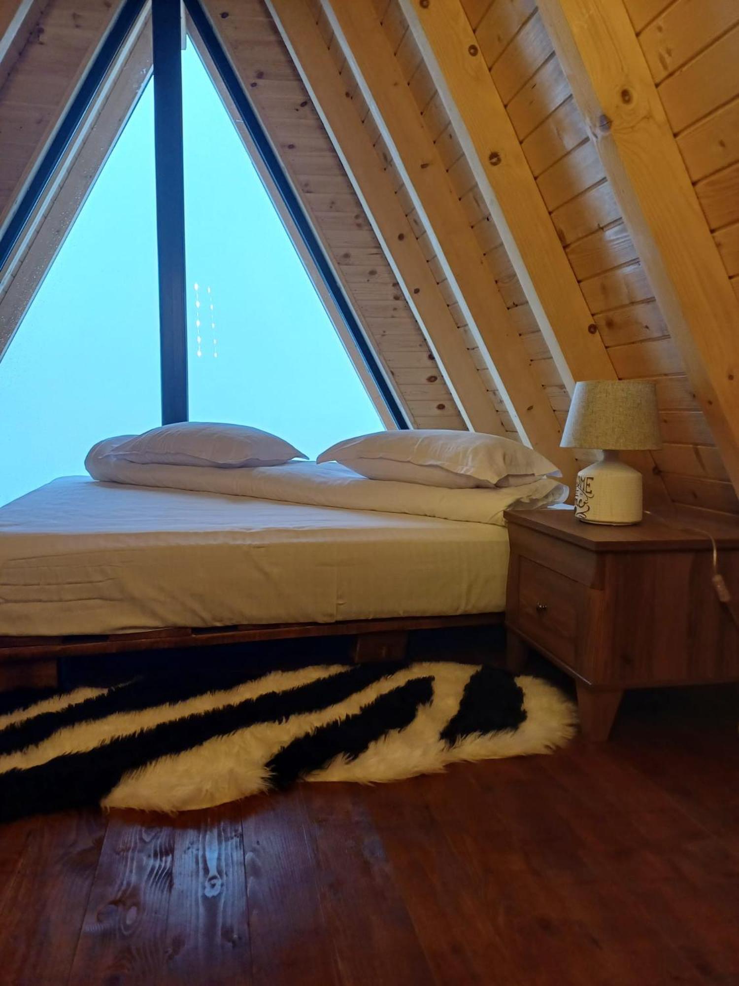 Cabana 365 Braşov Dış mekan fotoğraf