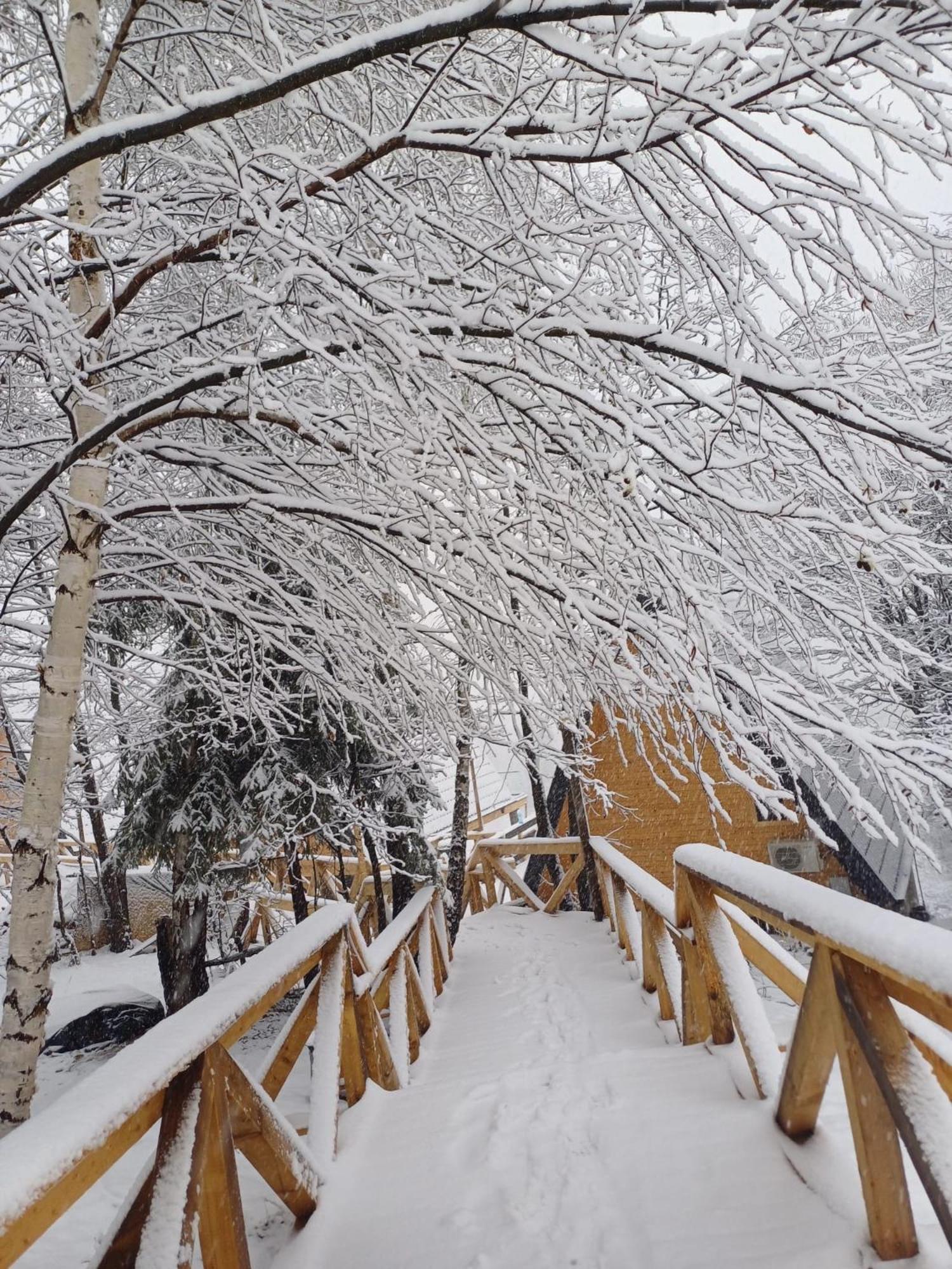 Cabana 365 Braşov Dış mekan fotoğraf