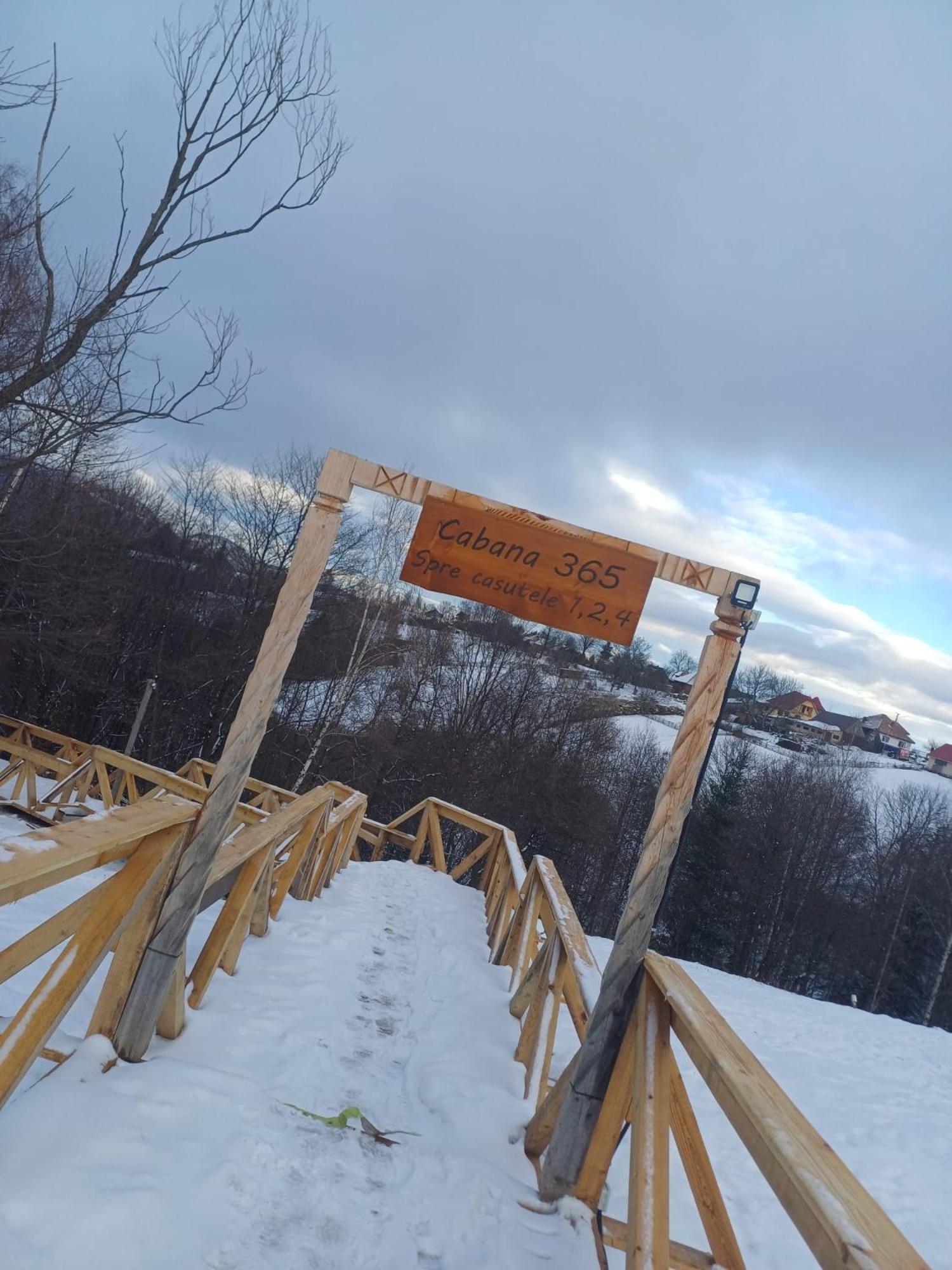 Cabana 365 Braşov Dış mekan fotoğraf
