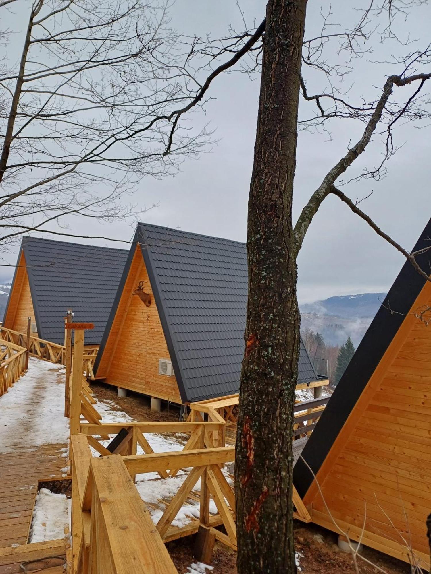 Cabana 365 Braşov Dış mekan fotoğraf