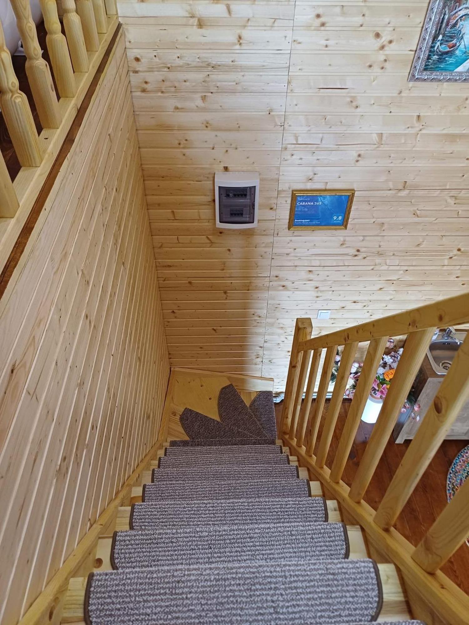 Cabana 365 Braşov Dış mekan fotoğraf