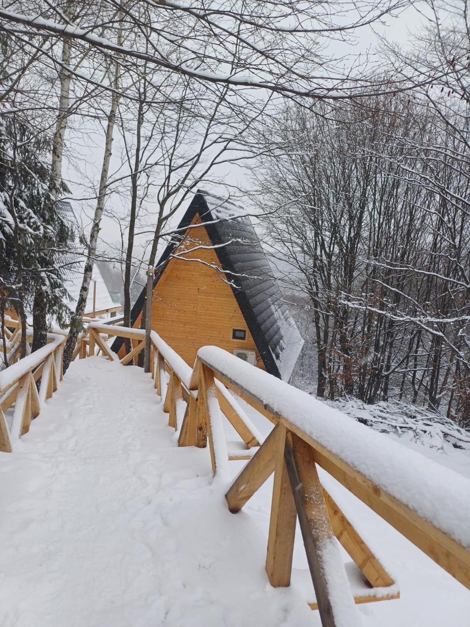 Cabana 365 Braşov Dış mekan fotoğraf