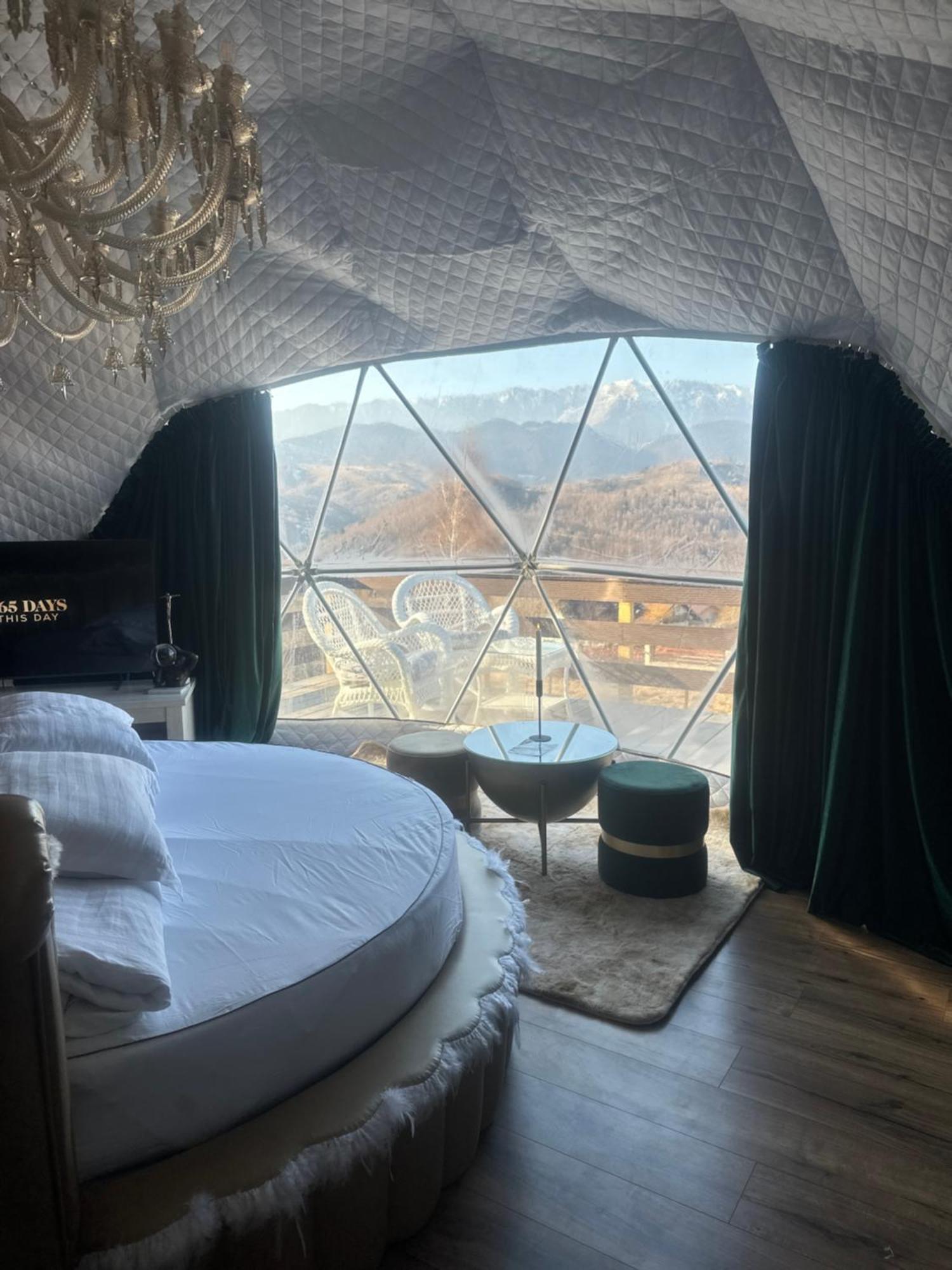 Cabana 365 Braşov Dış mekan fotoğraf